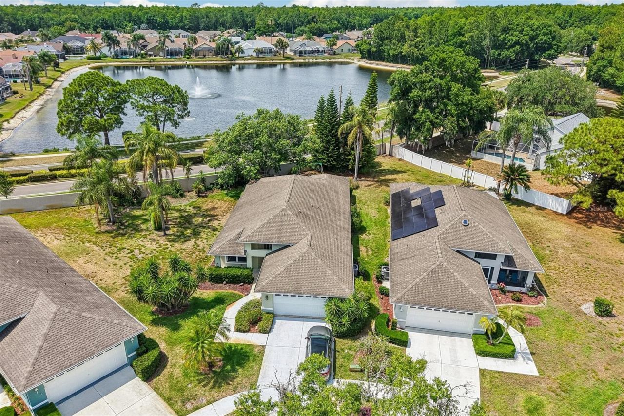 1129 Daleside Lane, New Port Richey, FL 34655 Photo