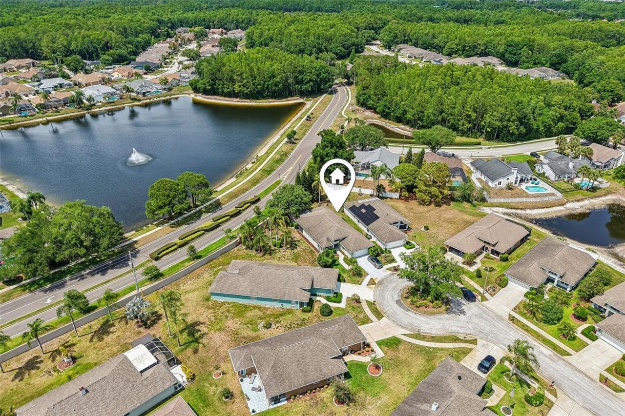 1129 Daleside Lane, New Port Richey, FL 34655 Photo