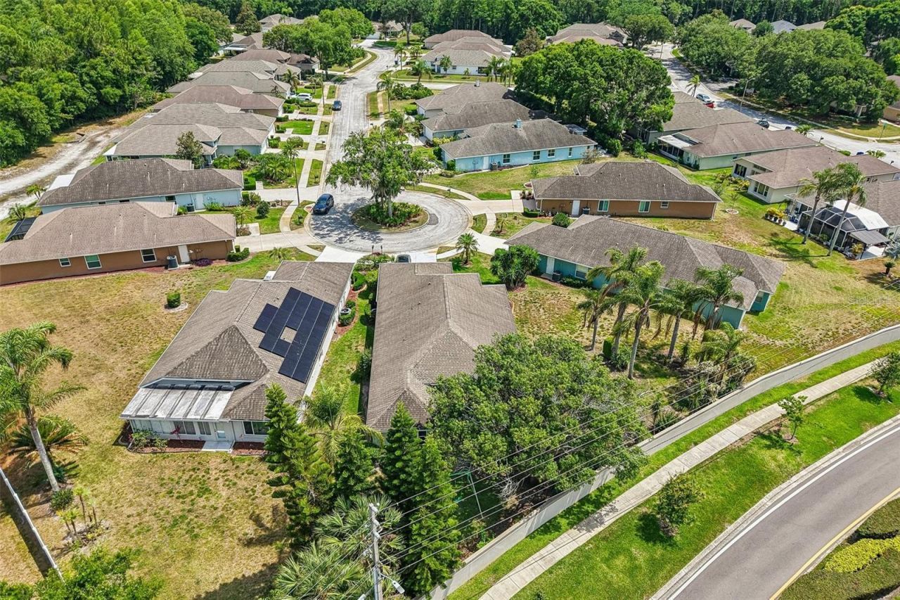 1129 Daleside Lane, New Port Richey, FL 34655 Photo