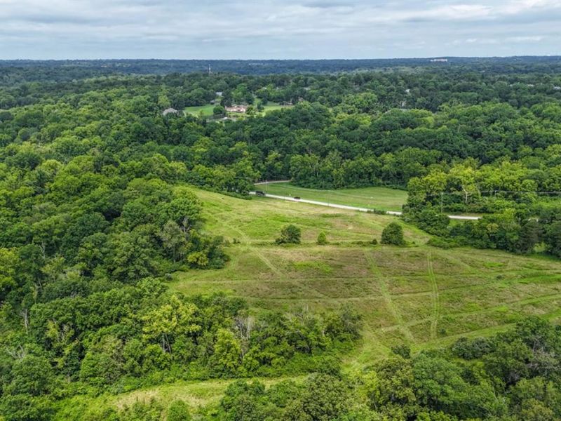 8 Trailside Estates, Unit Lot 8, Loveland, OH 45140 Photo 2