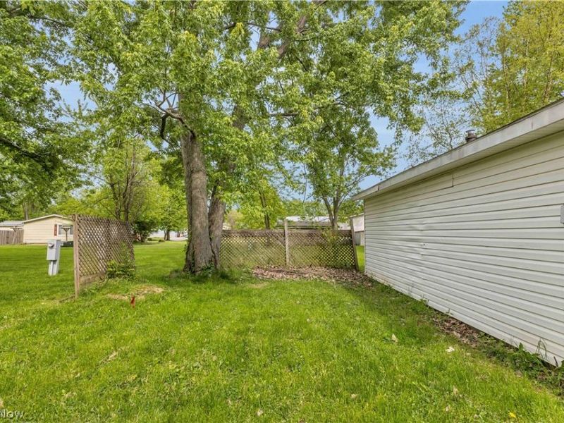 78 Bass Court , Lagrange, OH 44050 Photo 20