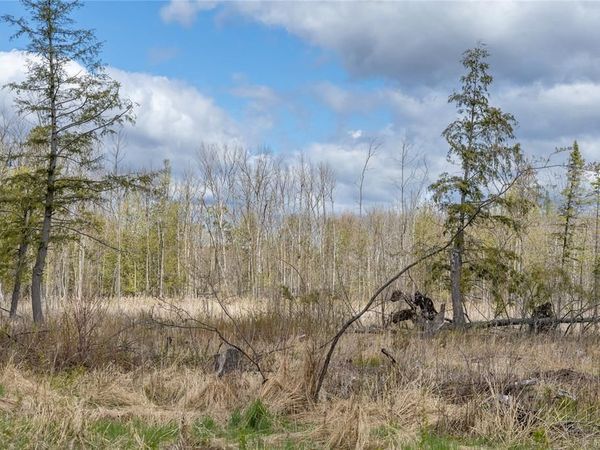 40 Acres Anderson & School Road, Glen Flora, WI 54526