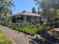 home photo