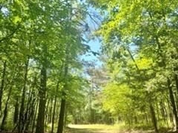 40 Acres Cr 450 & Cr 473, Oxford, MS 38655