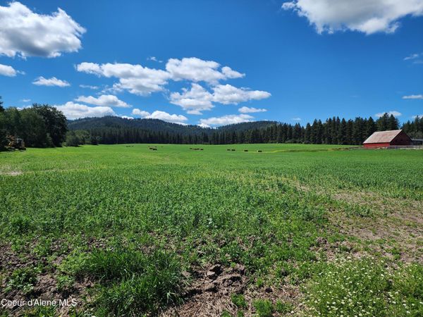 NKAParcel2 Desmet Rd , Desmet, ID 83824
