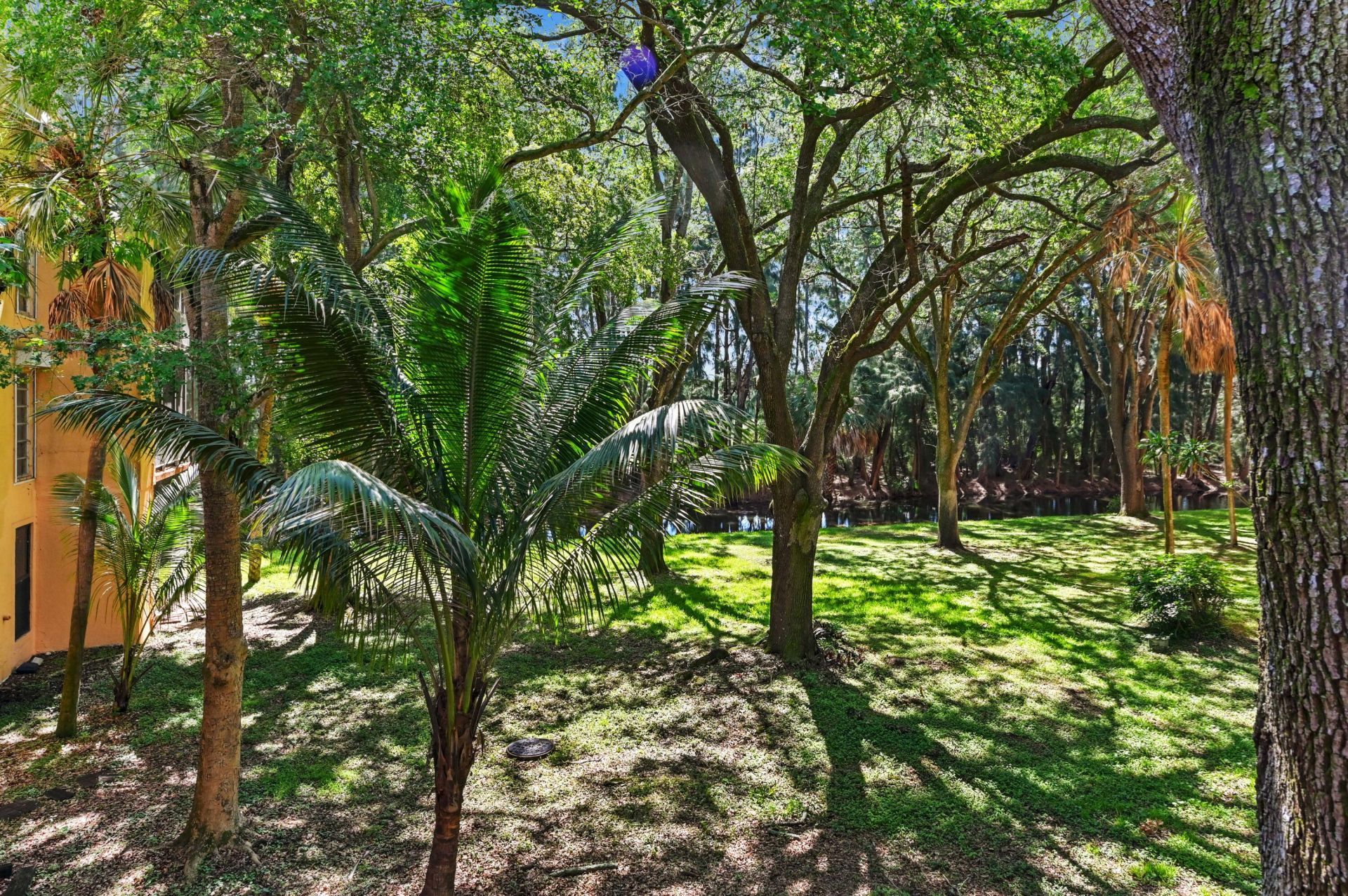 430 Commodore Drive, Unit 217, Plantation, FL 33325 Photo