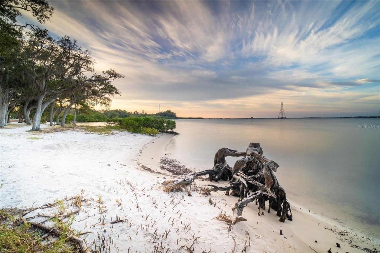 511 Buckingham Avenue E, Oldsmar, FL 34677 Photo