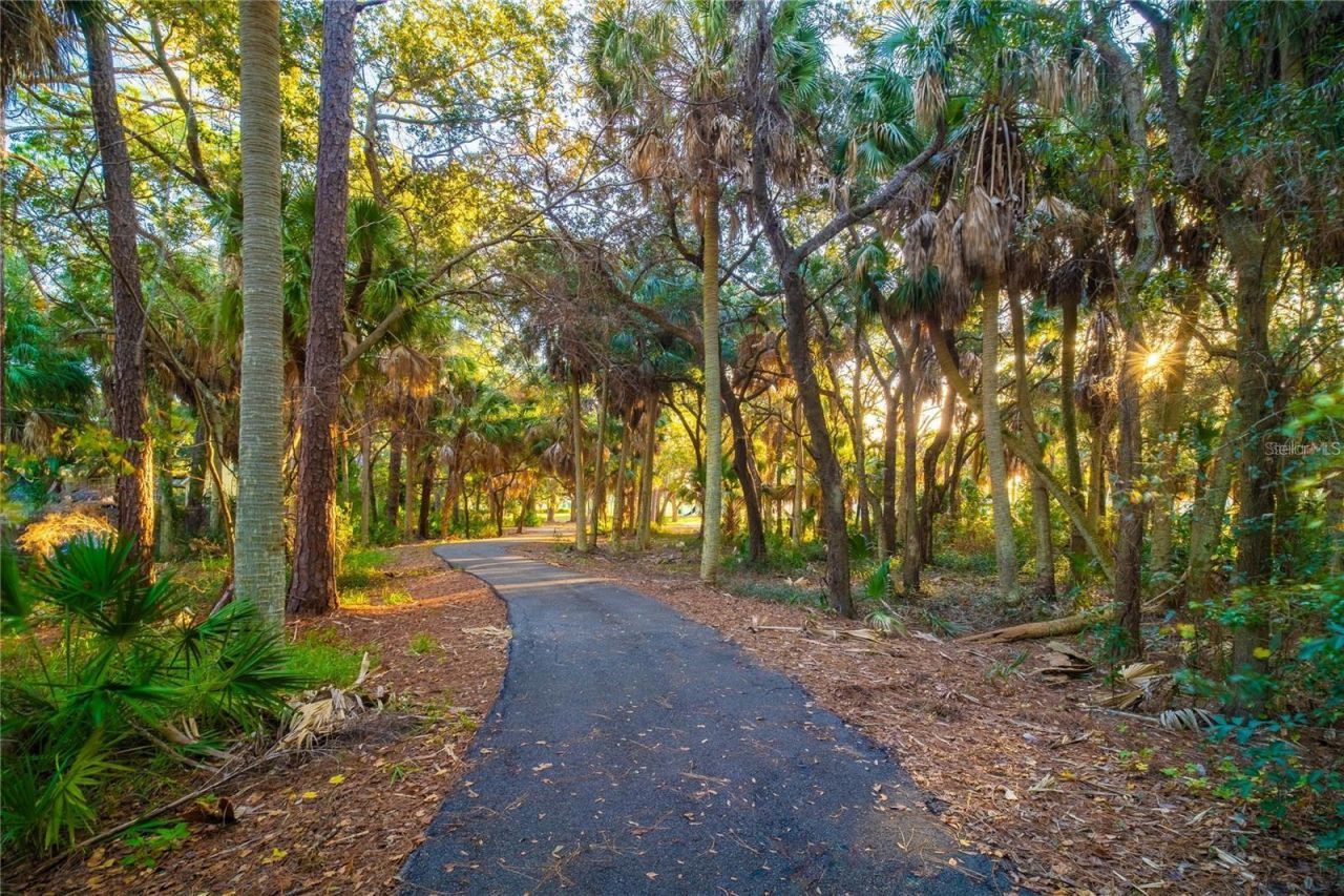 511 Buckingham Avenue E, Oldsmar, FL 34677 Photo
