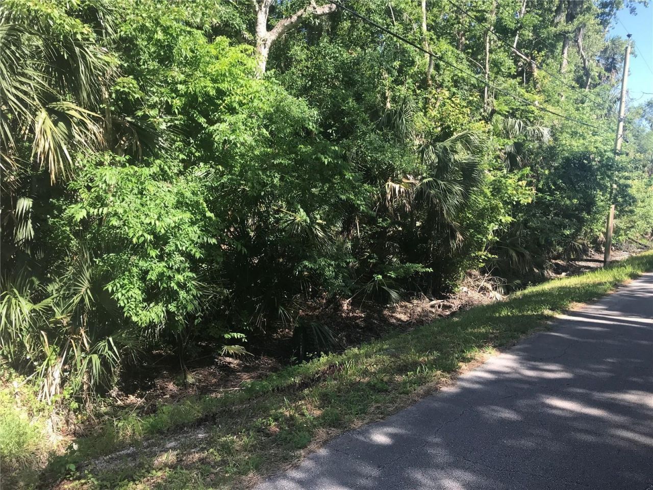 Elizabeth Street, New Smyrna Beach, FL 32168 Photo