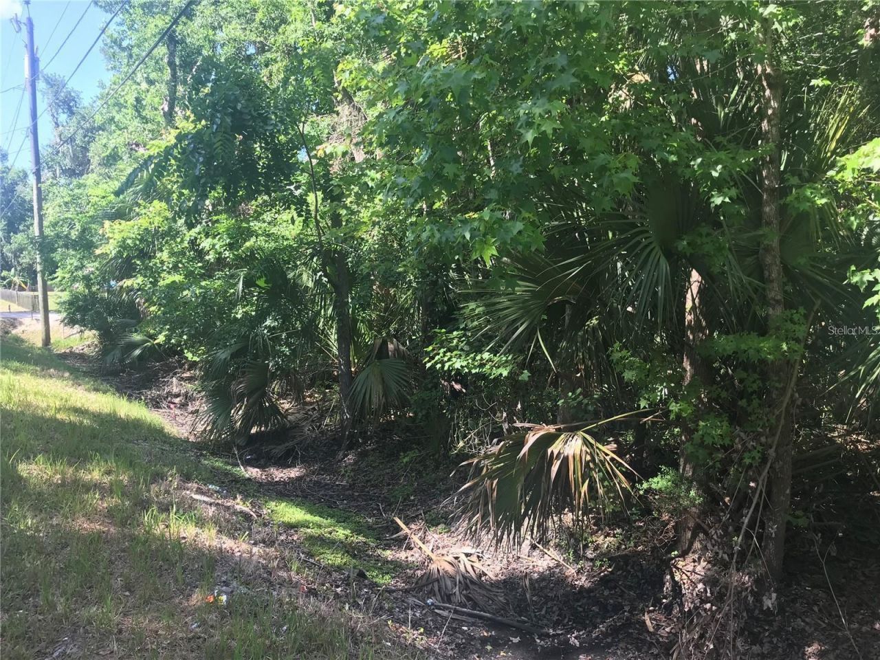 Elizabeth Street, New Smyrna Beach, FL 32168 Photo