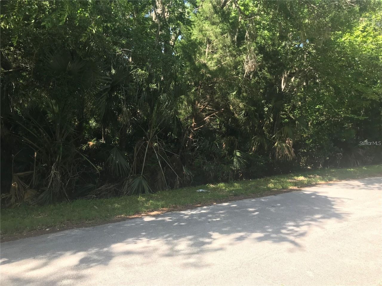 Elizabeth Street, New Smyrna Beach, FL 32168 Photo