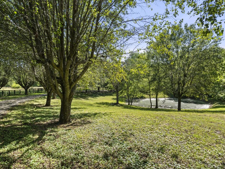 Property Image 56
