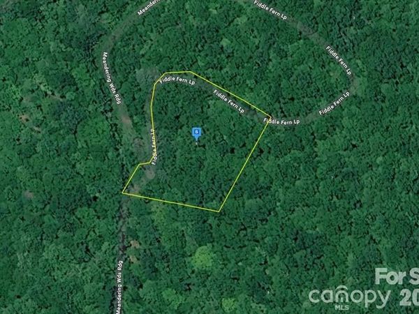 6 Fiddle Fern Loop , Sylva, NC 28779