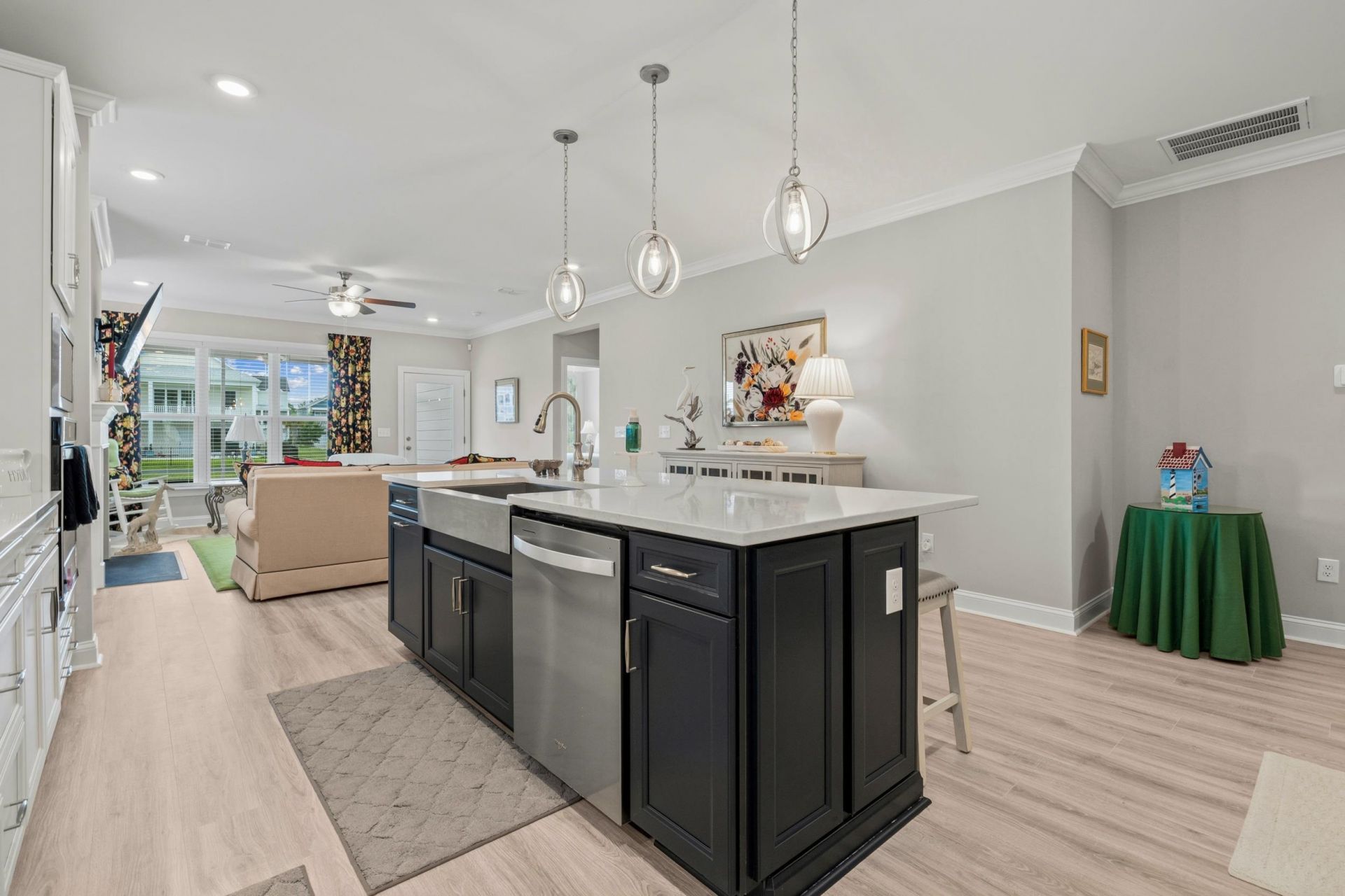 1107 Safe Haven Dr. Photo 20