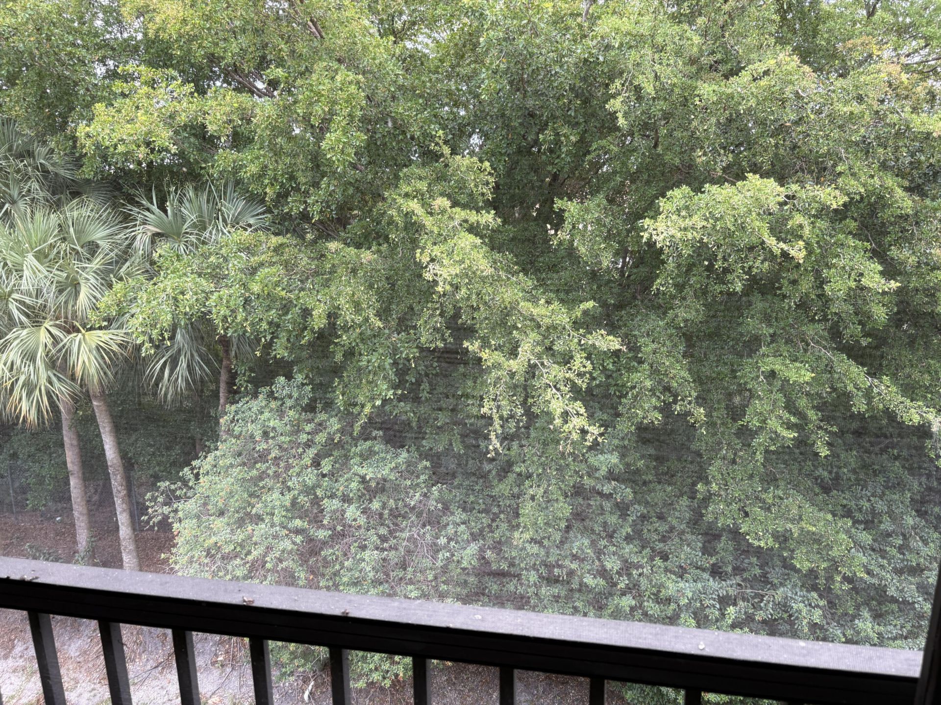 800 SW 142nd, Unit 401n, Pembroke Pines, FL 33027 Photo