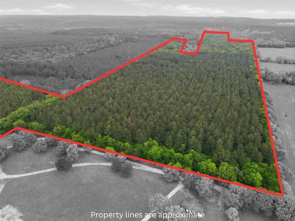 000 County road 3824 , Hawkins, TX 75765