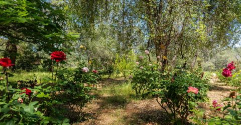 10814 Red Ln, Smartville, CA 95977 Photo
