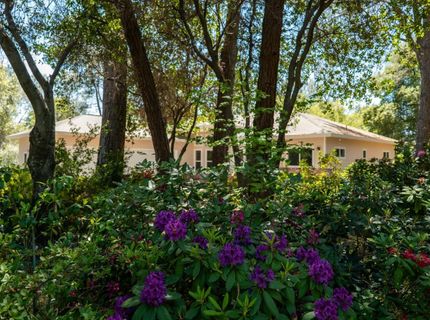 10814 Red Ln, Smartville, CA 95977 Photo