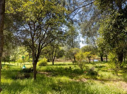 10814 Red Ln, Smartville, CA 95977 Photo