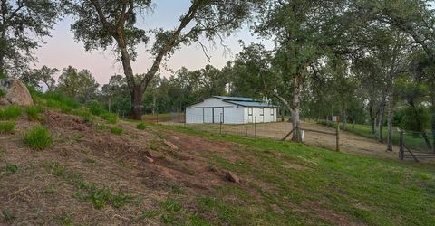 10180 Tierra Del Lago Pl, Newcastle, CA 95658 Photo