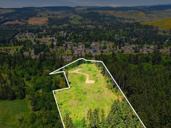 Parcels # 0721288 & #0721296 Rd SW, Lyons, OR 97358