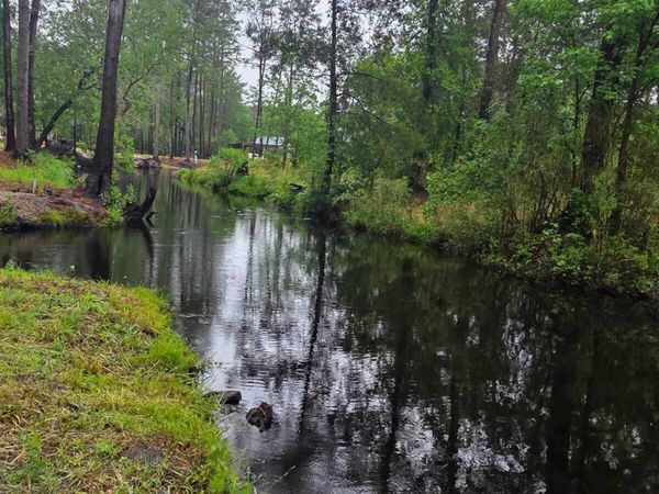 Lot 48 Juniper Lane, Currie, NC 28435