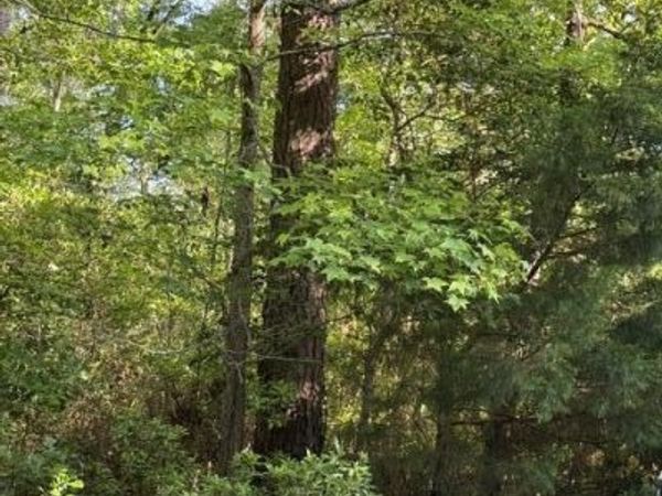 103 Emerson Court, Hampstead, NC 28443