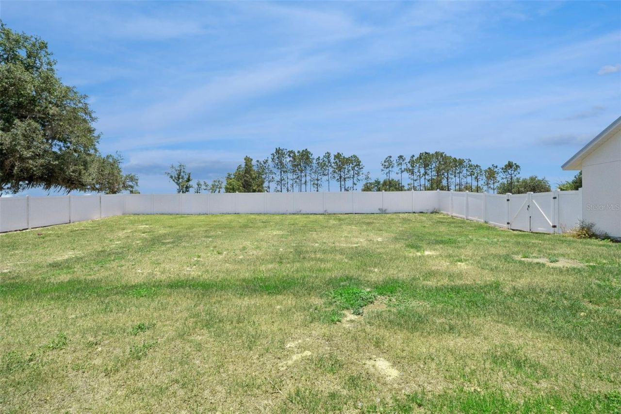 7956 Lake Nellie Road, Clermont, FL 34714 Photo