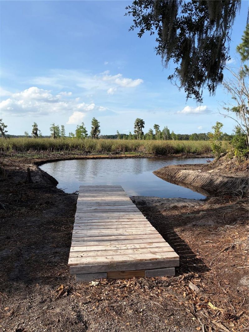 7956 Lake Nellie Road, Clermont, FL 34714 Photo
