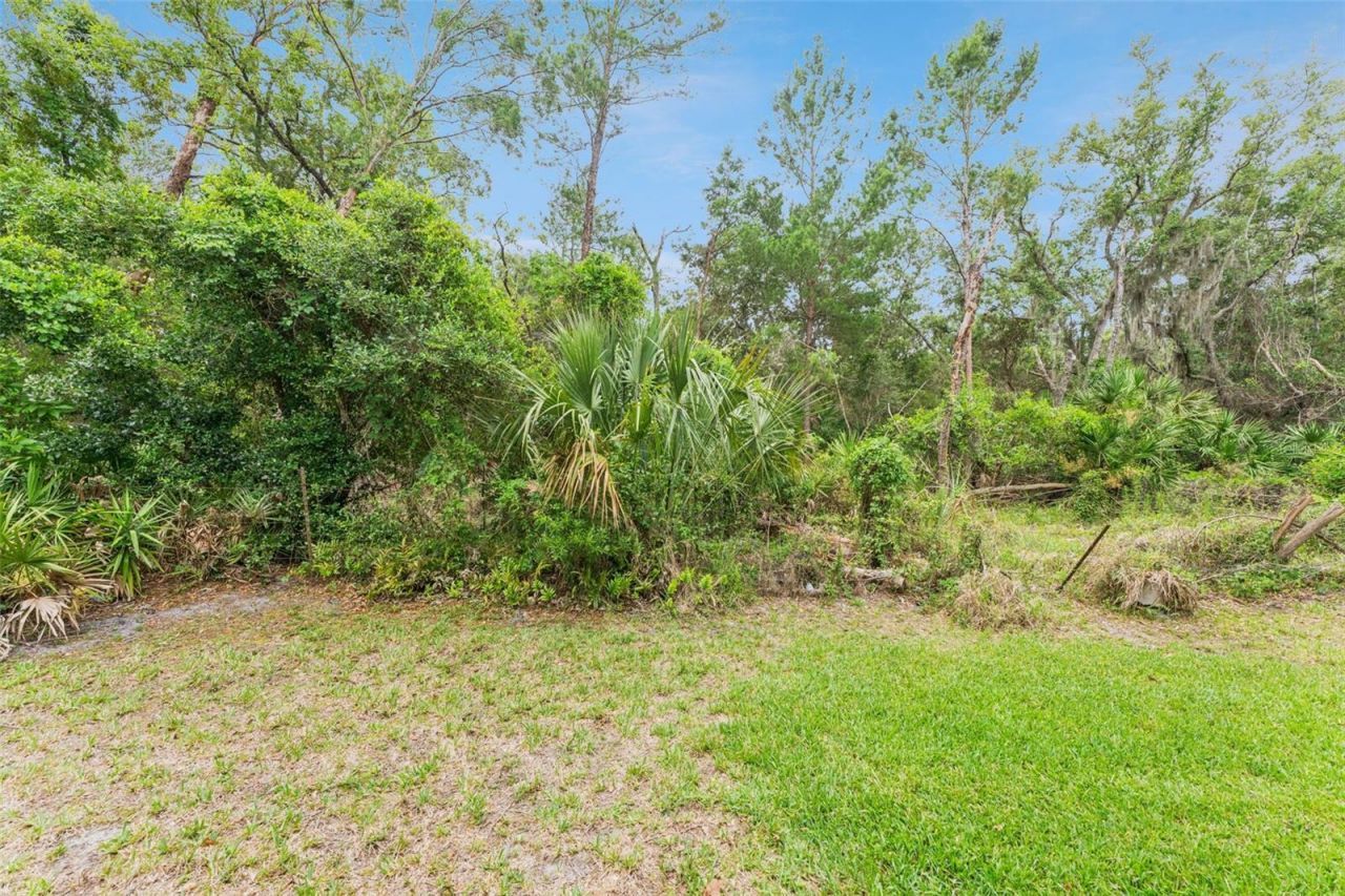 2830 Spring Heather Place, Oviedo, FL 32766 Photo