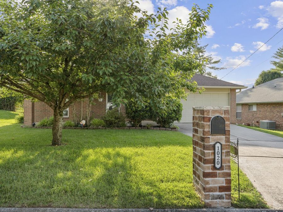 Property Image 51