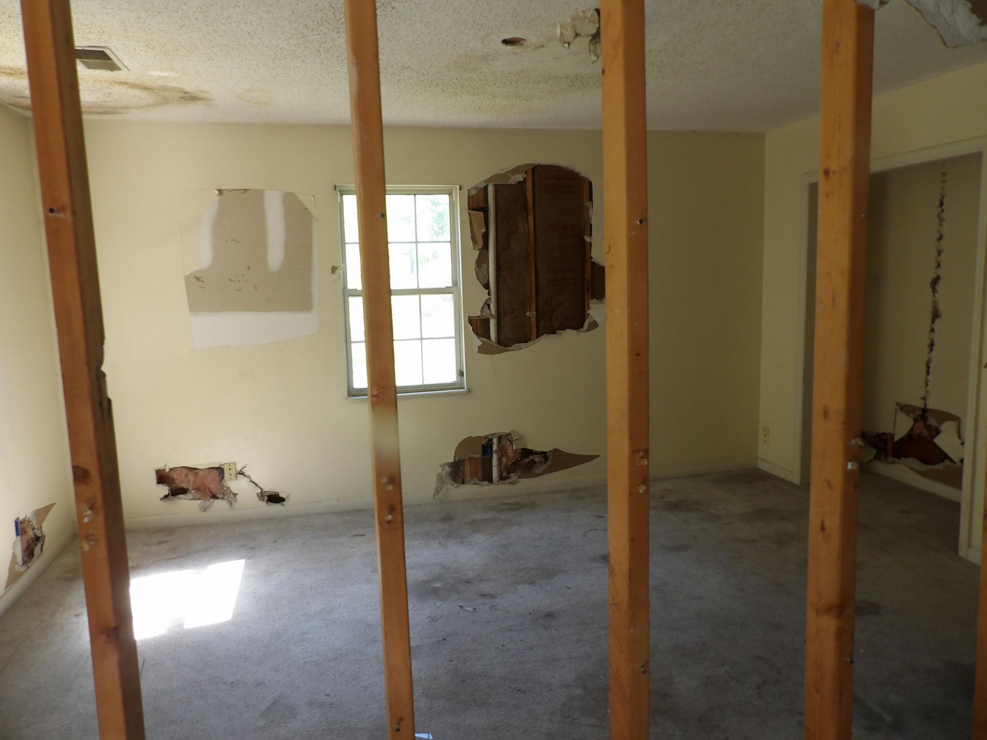 102 Desi Court Photo 11