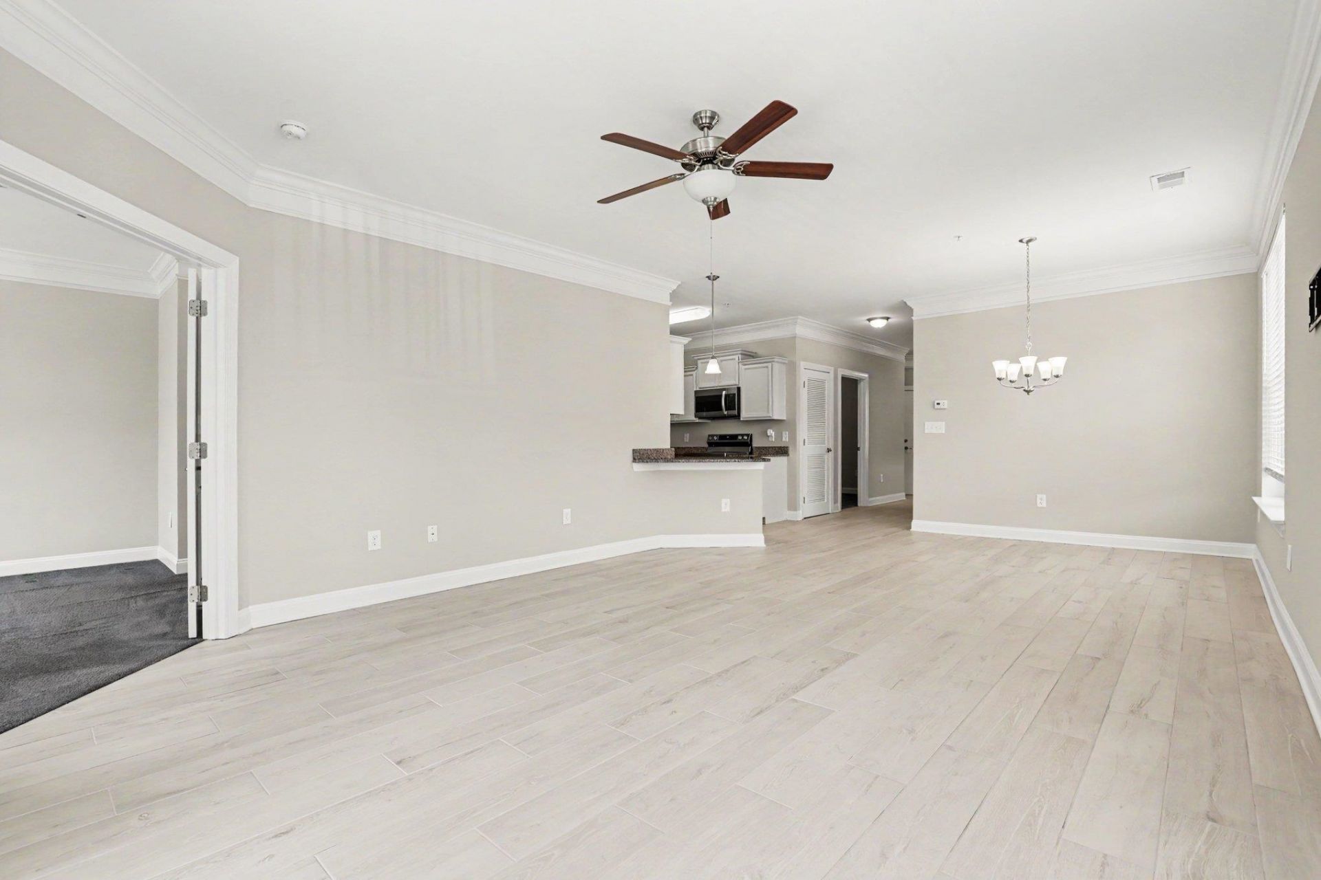 150 Ella Kinley Circle Photo 17