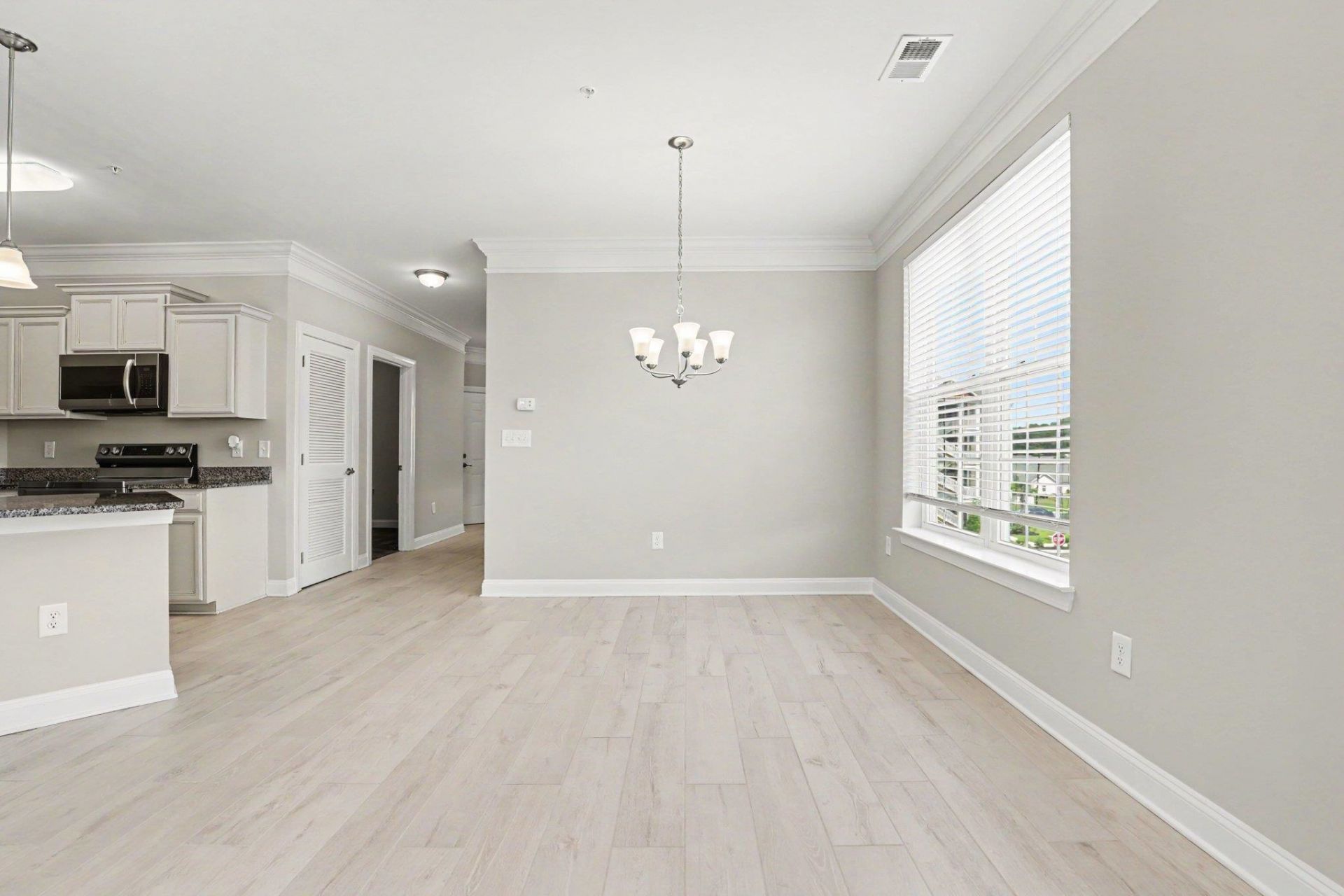 150 Ella Kinley Circle Photo 29
