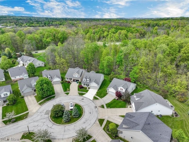 9278 Clark Circle, Twinsburg, OH 44087 Photo 43