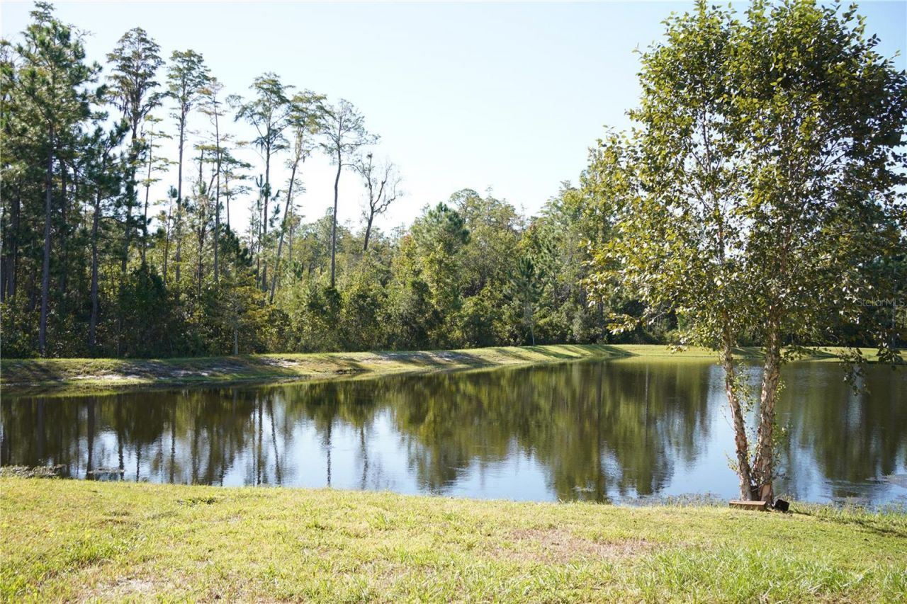 855 Sycamore Way , Orange Park, FL 32073 Photo