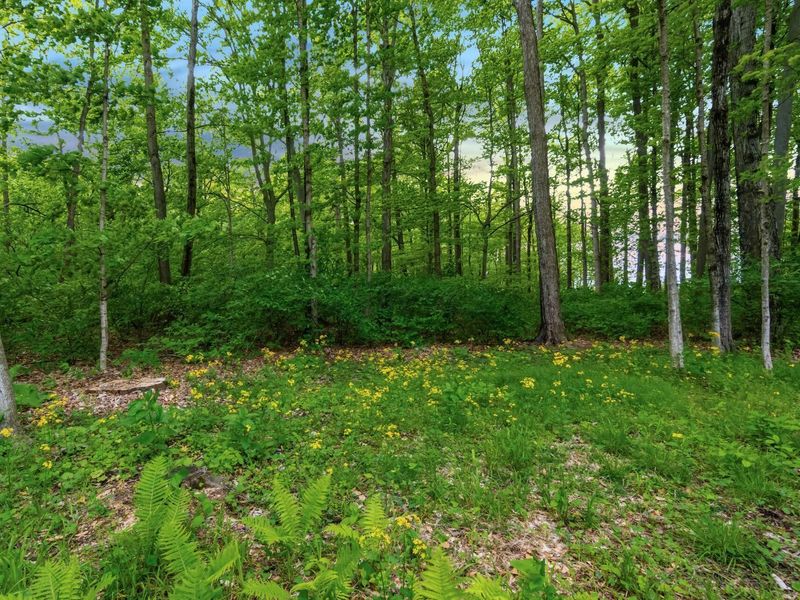 7155 Wellington Court, Dublin, OH 43016 Photo 62