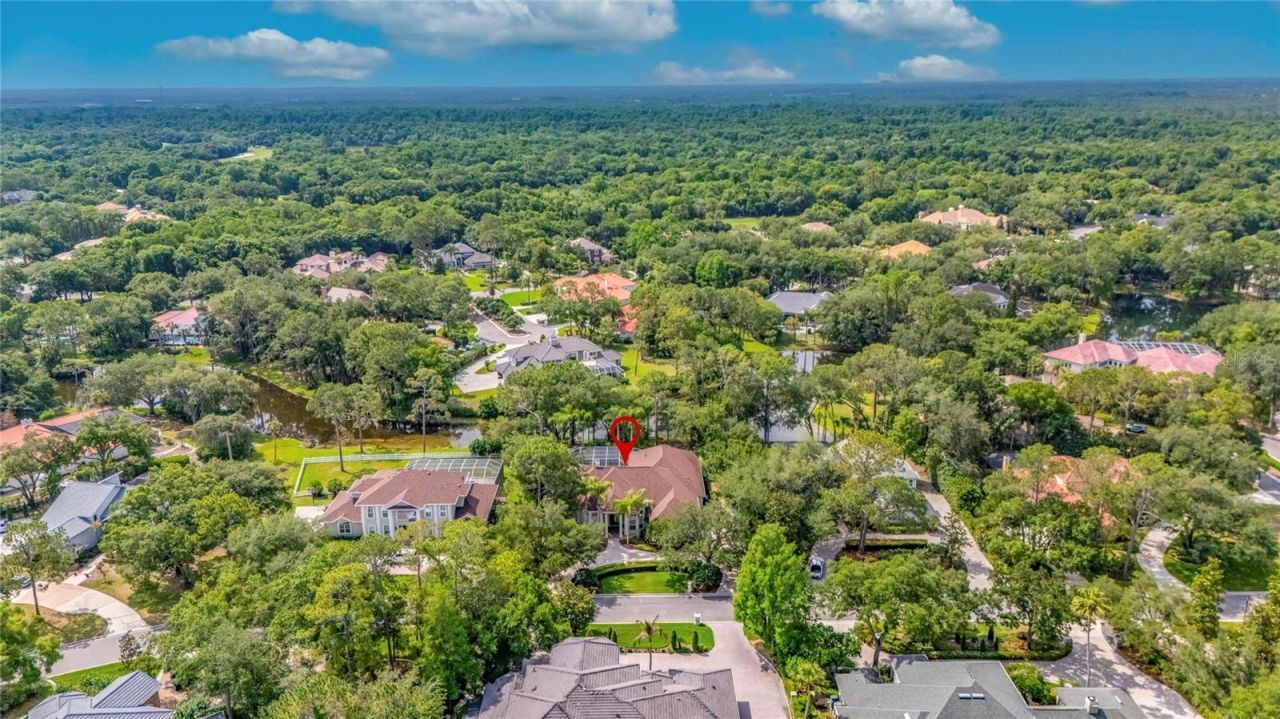 6353 W Maclaurin Drive, Tampa, FL 33647 Photo
