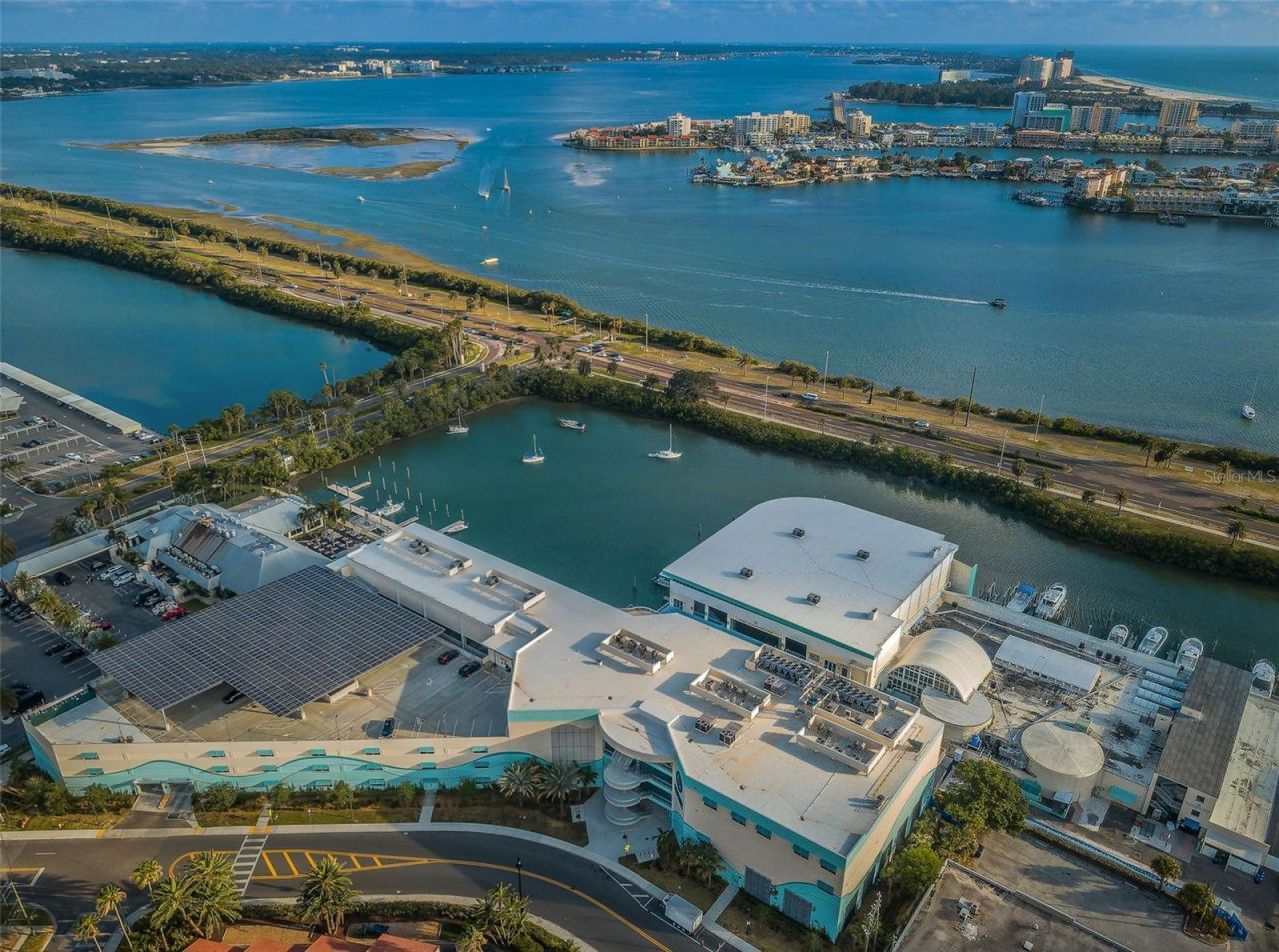 51 Island Way, Unit 306, Clearwater Beach, FL 33767 Photo