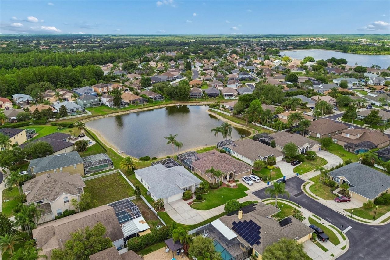2006 Meadow Rue Court, Trinity, FL 34655 Photo