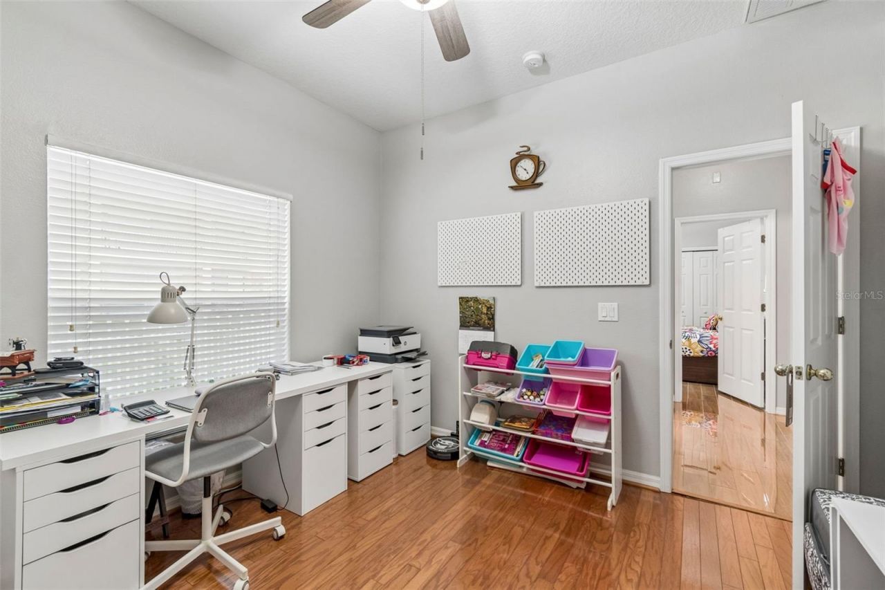 2006 Meadow Rue Court, Trinity, FL 34655 Photo