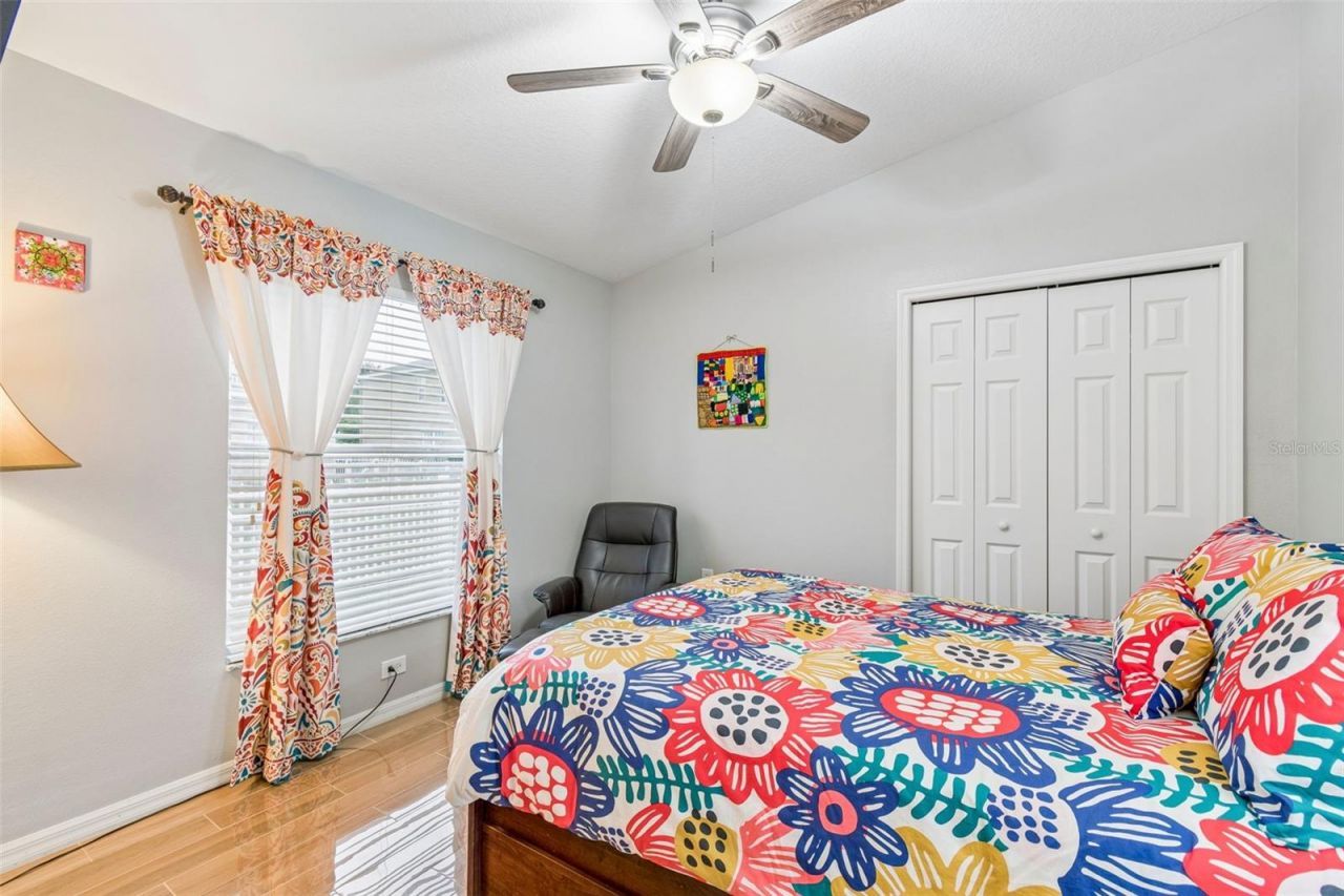 2006 Meadow Rue Court, Trinity, FL 34655 Photo