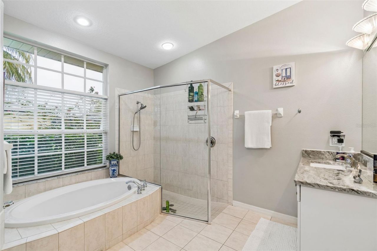 2006 Meadow Rue Court, Trinity, FL 34655 Photo