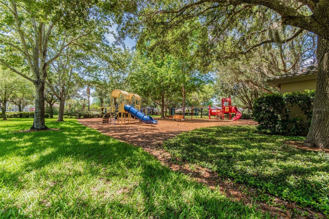 2006 Meadow Rue Court, Trinity, FL 34655 Photo