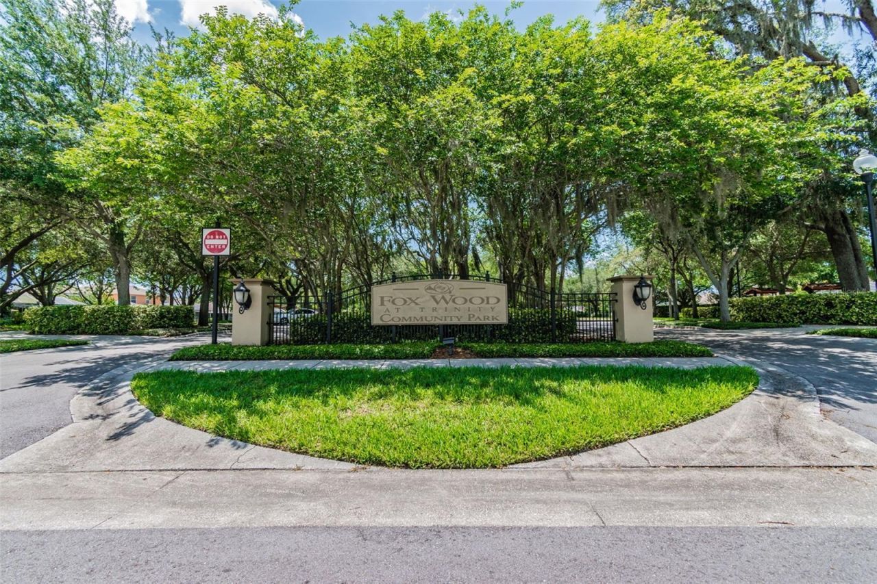 2006 Meadow Rue Court, Trinity, FL 34655 Photo