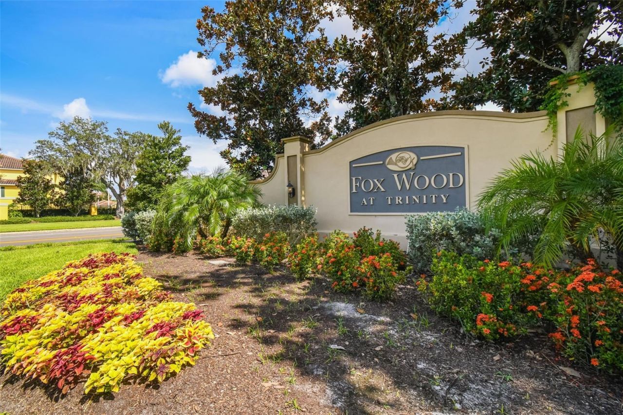 2006 Meadow Rue Court, Trinity, FL 34655 Photo