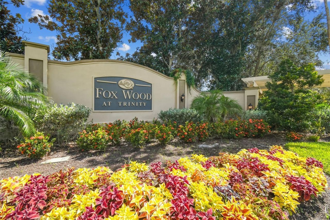 2006 Meadow Rue Court, Trinity, FL 34655 Photo