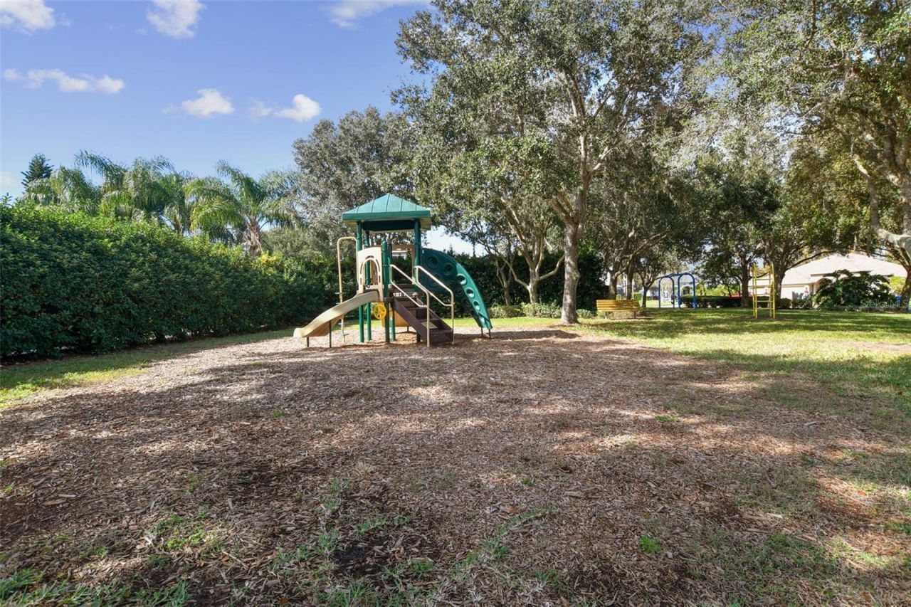 2006 Meadow Rue Court, Trinity, FL 34655 Photo