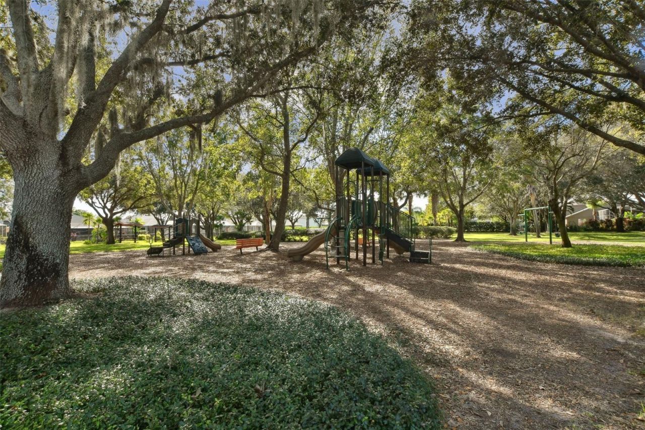 2006 Meadow Rue Court, Trinity, FL 34655 Photo