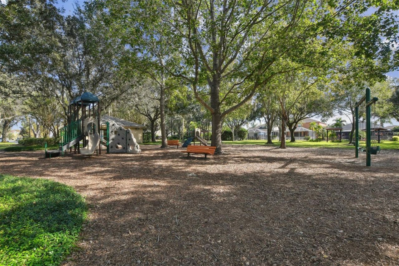 2006 Meadow Rue Court, Trinity, FL 34655 Photo